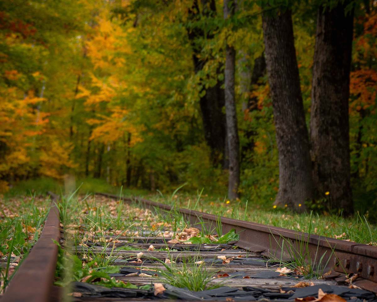 united states train track surrounded by trees boardwalk
